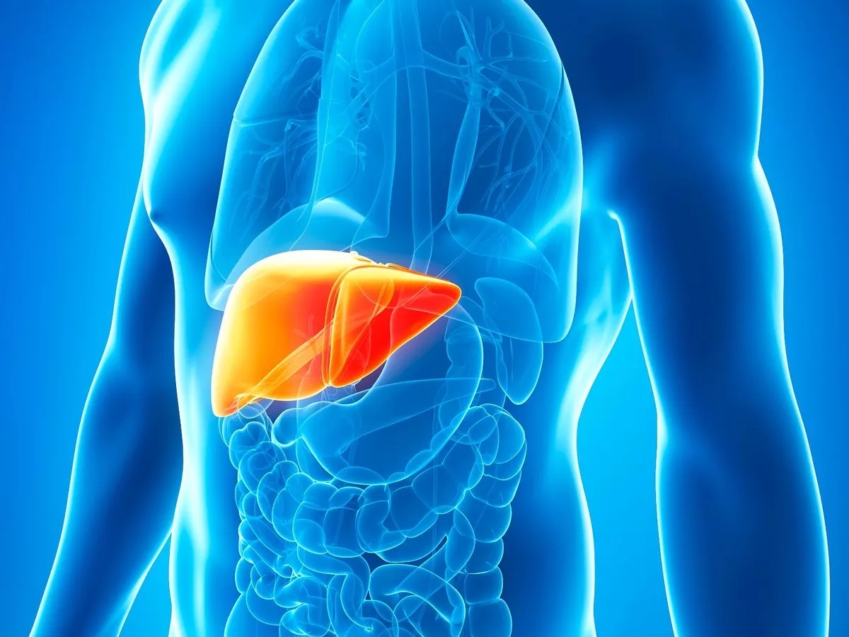 Еластографія печінки