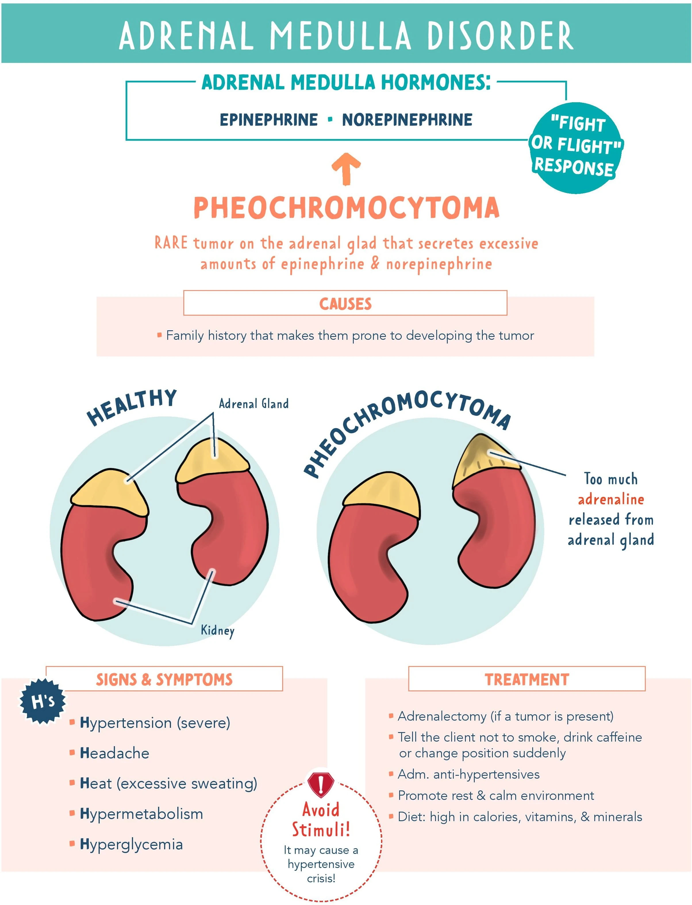 Феохромоцитома або адреналінова пухлина - це рідкісна пухлина